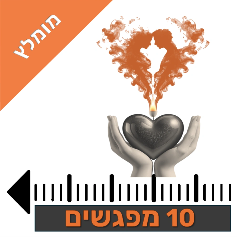 שירותים מובילים