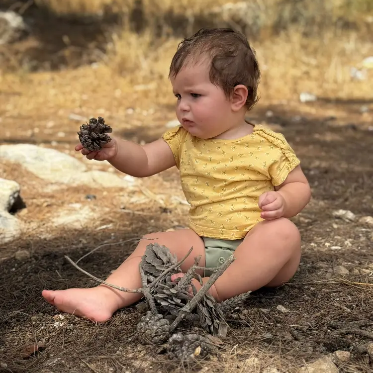 בלוג ומאמרים