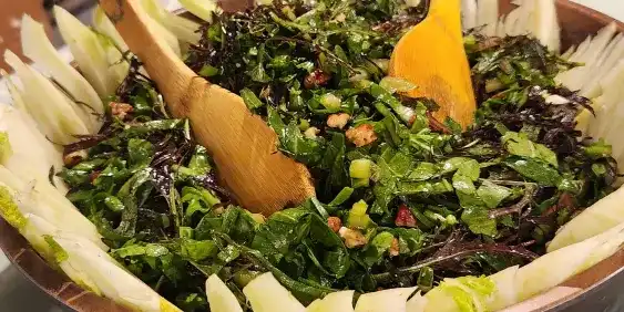 בלוג ומאמרים