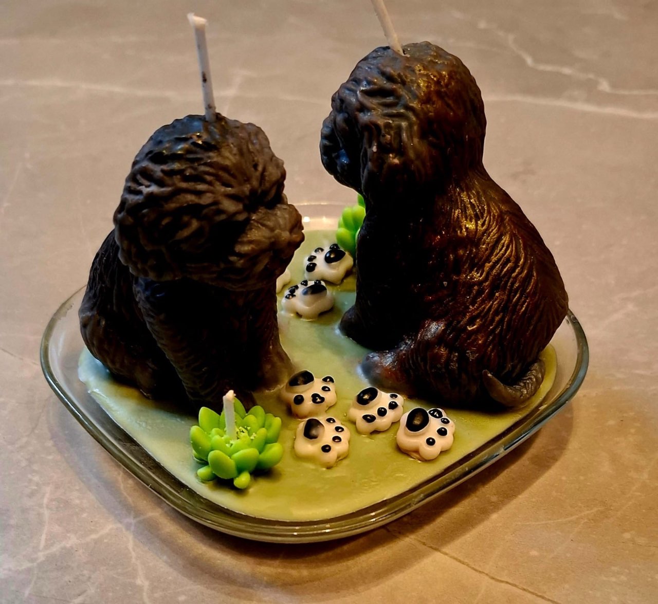 פריטים נבחרים