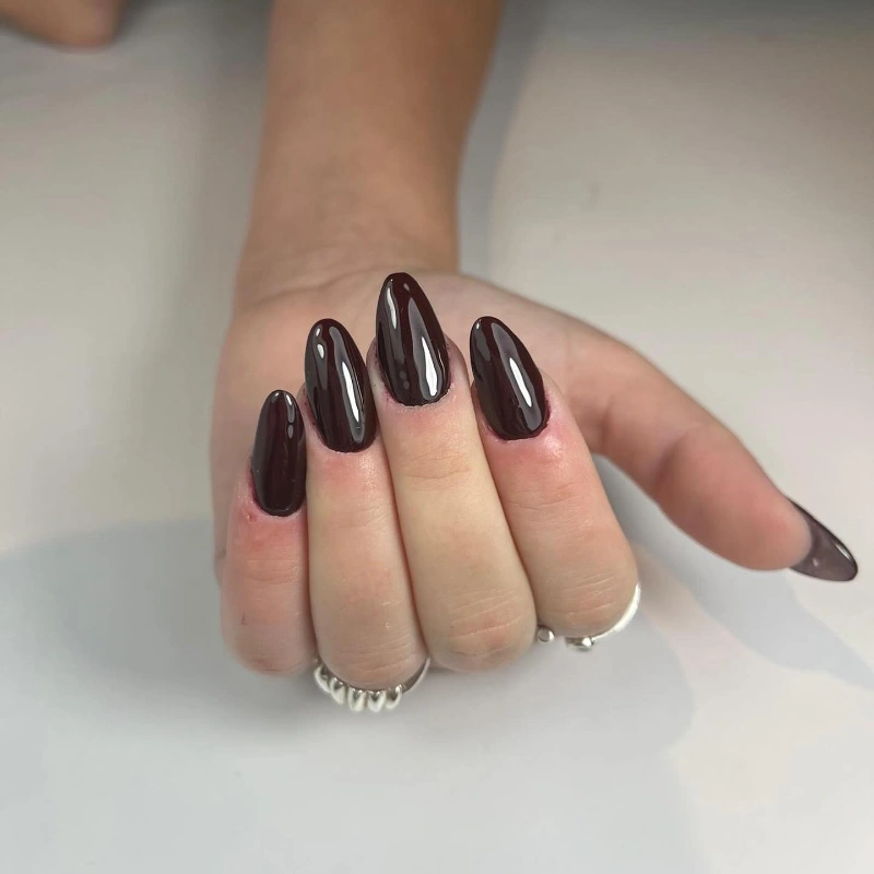 בלוג ומאמרים