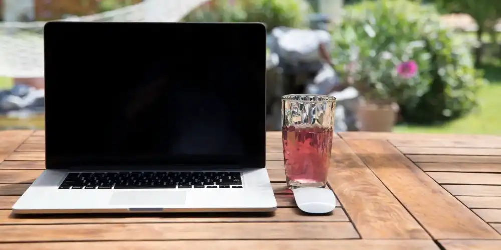 בלוג ומאמרים