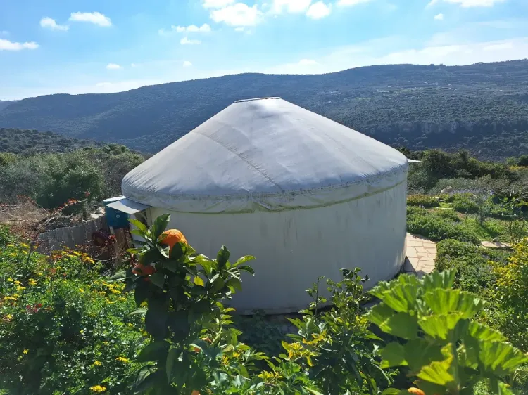מחירים ומבצעים