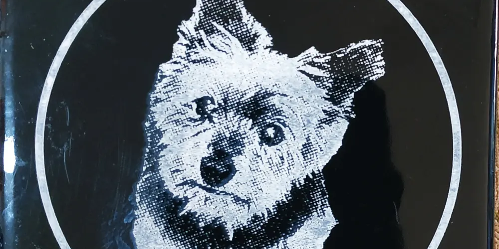 תמונות קרמיקה