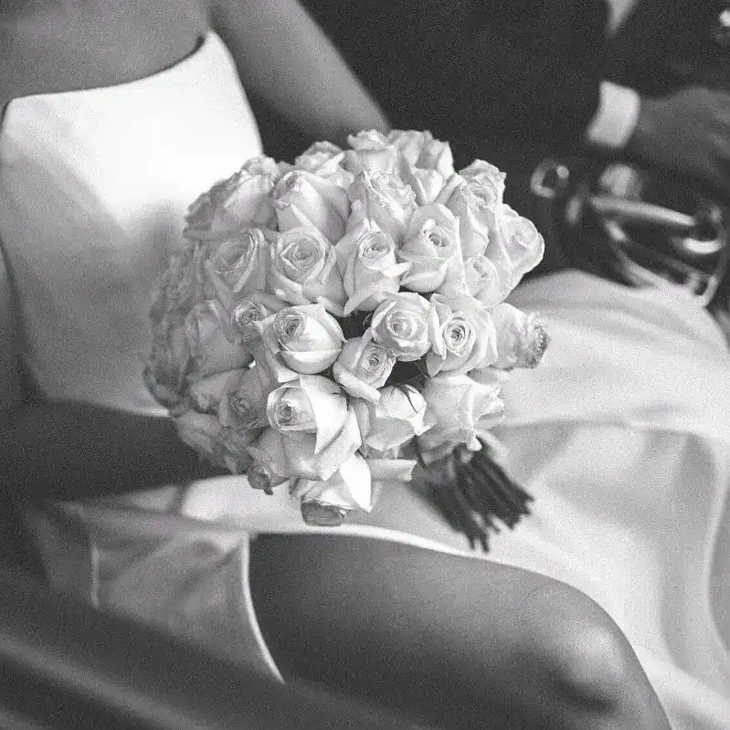 בלוג ומאמרים