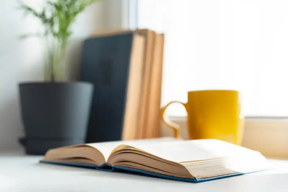 שירותי העסק