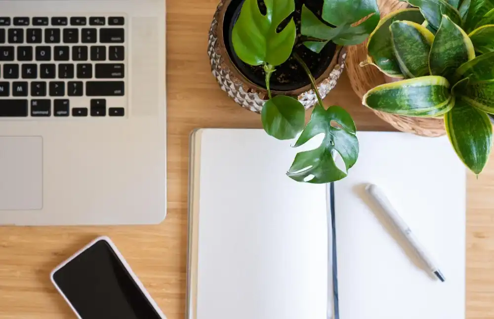 בלוג ומאמרים