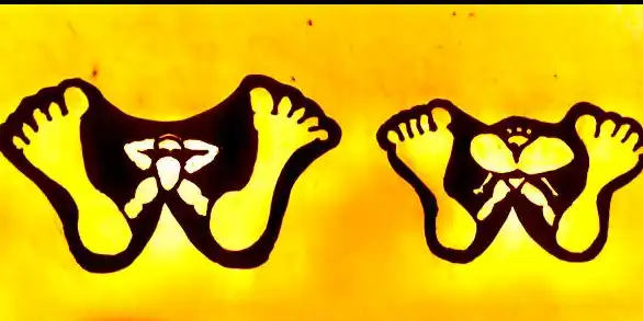 ציורים בעבודת יד על מוצרים בהתאמה אישית | Doggy style