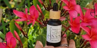 טיפול ע"י תמציות פרחי באך