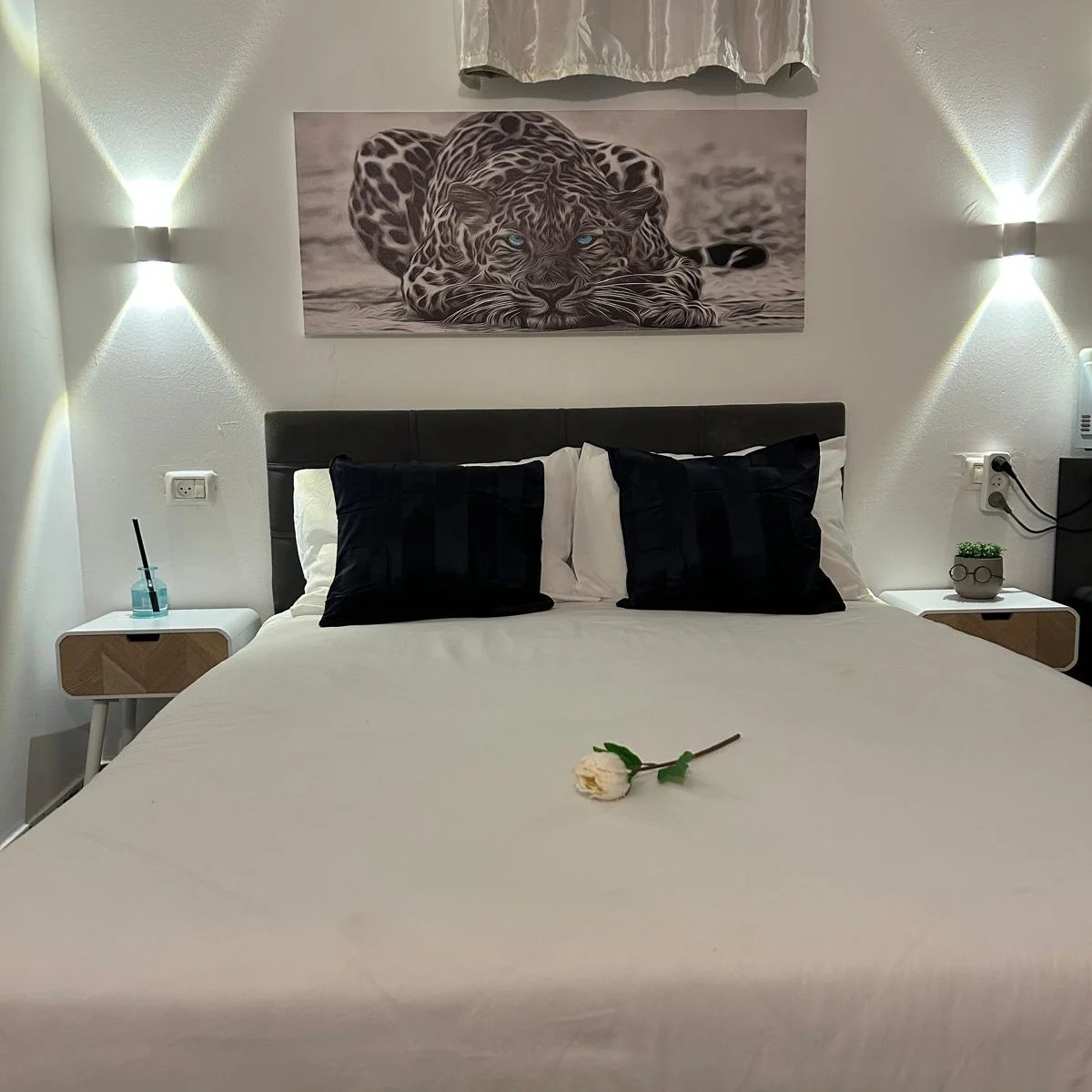 גלריית תמונות