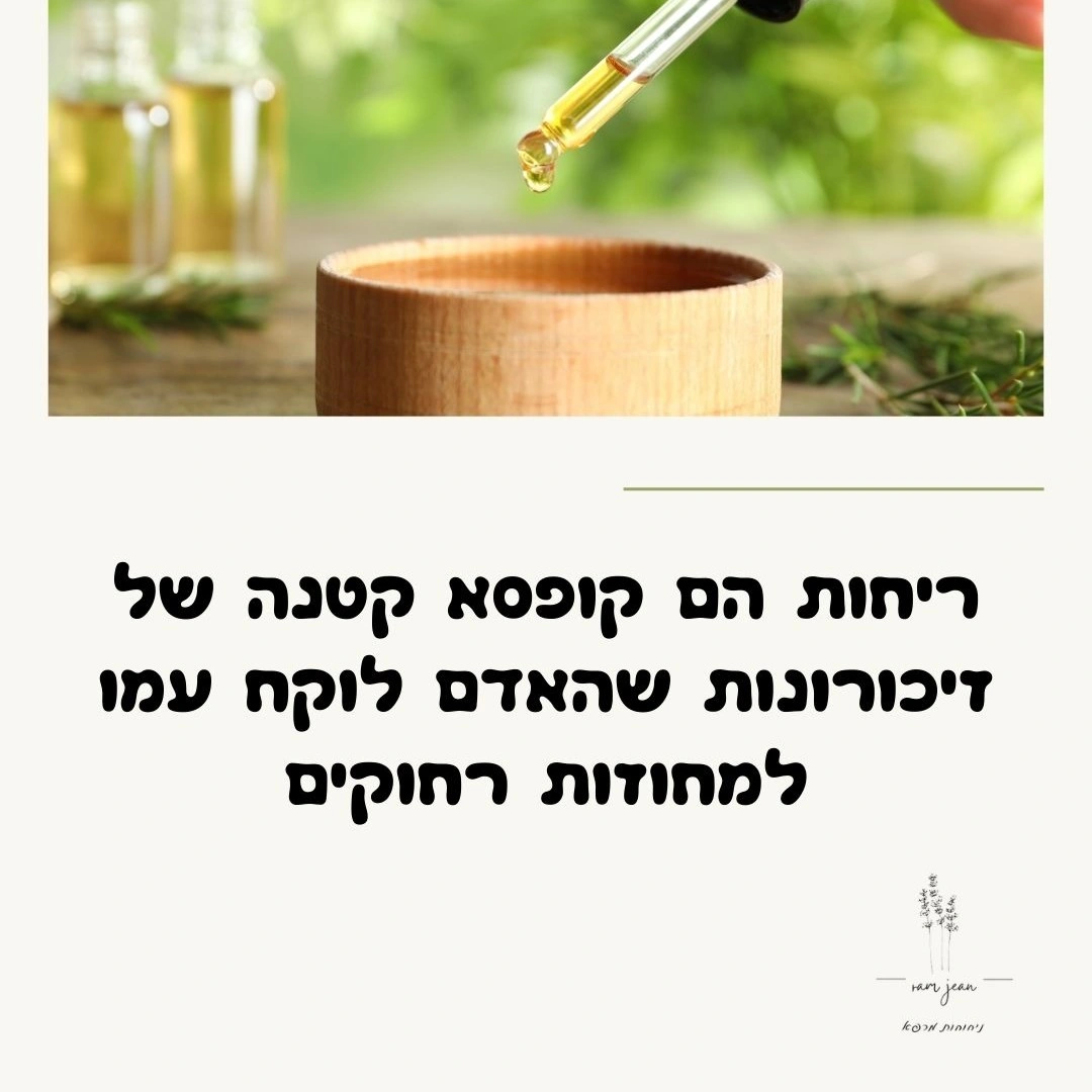 בלוג ומאמרים