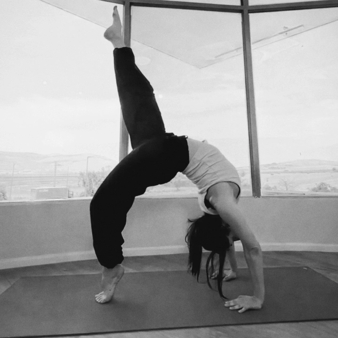 שיעורי אשטנגה ויניאסה בחווה בחפציבה