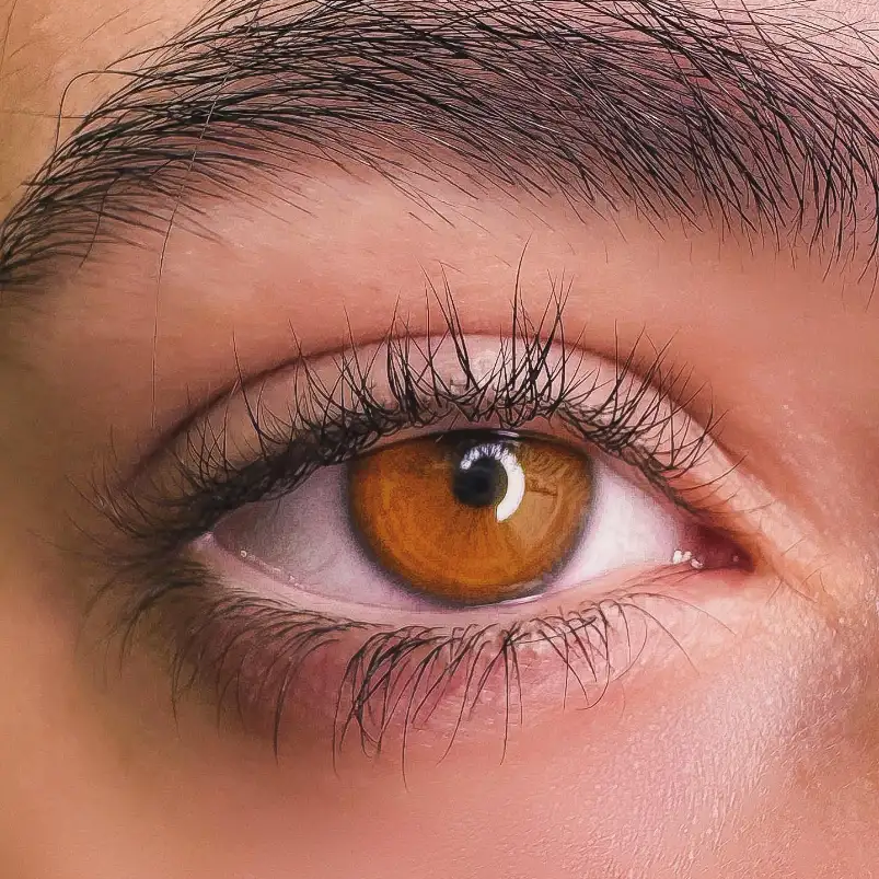 שירותי העסק