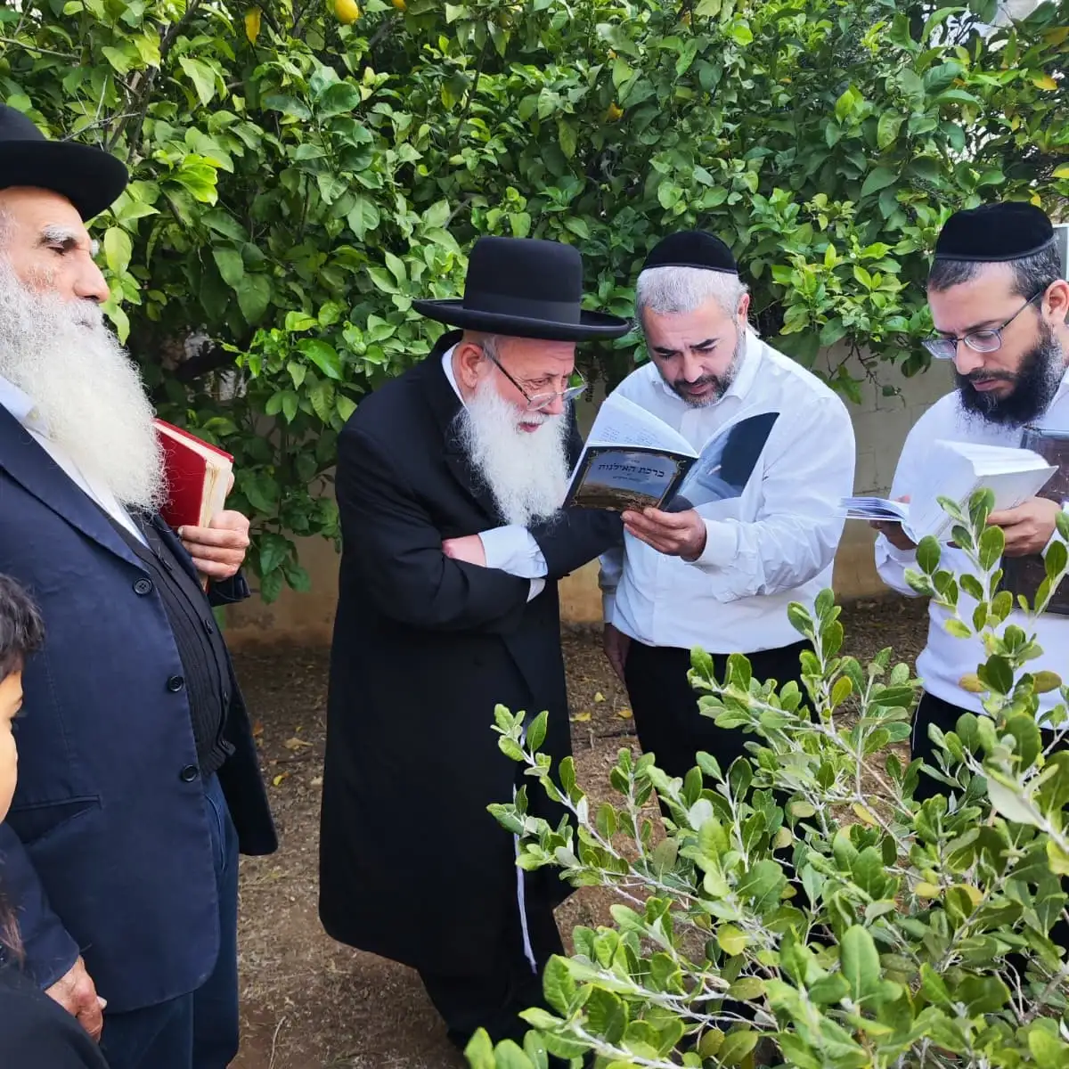 תרומות לישיבת המקובלים שער השמיים