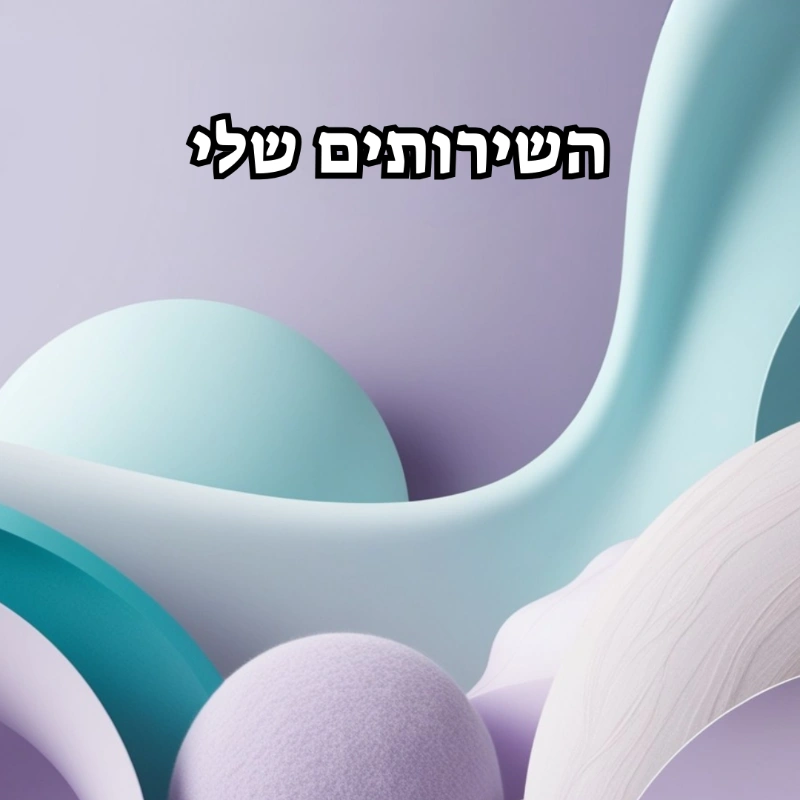 השירותים שלי