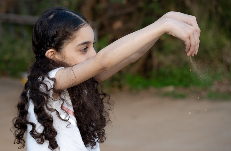 גלרייה