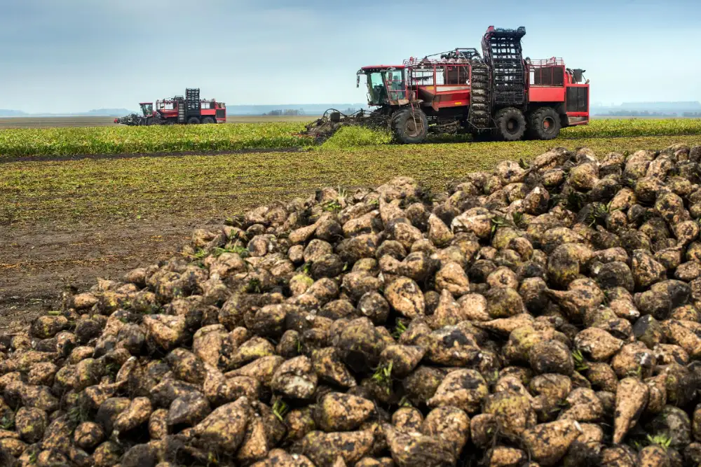 שירותי העסק