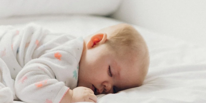 בלוג ומאמרים