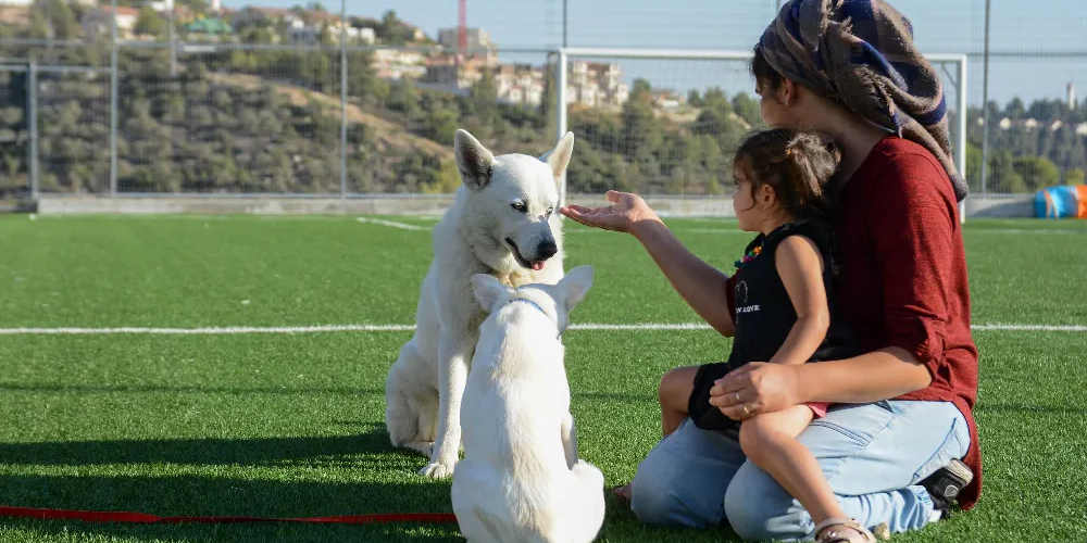 שירותי העסק