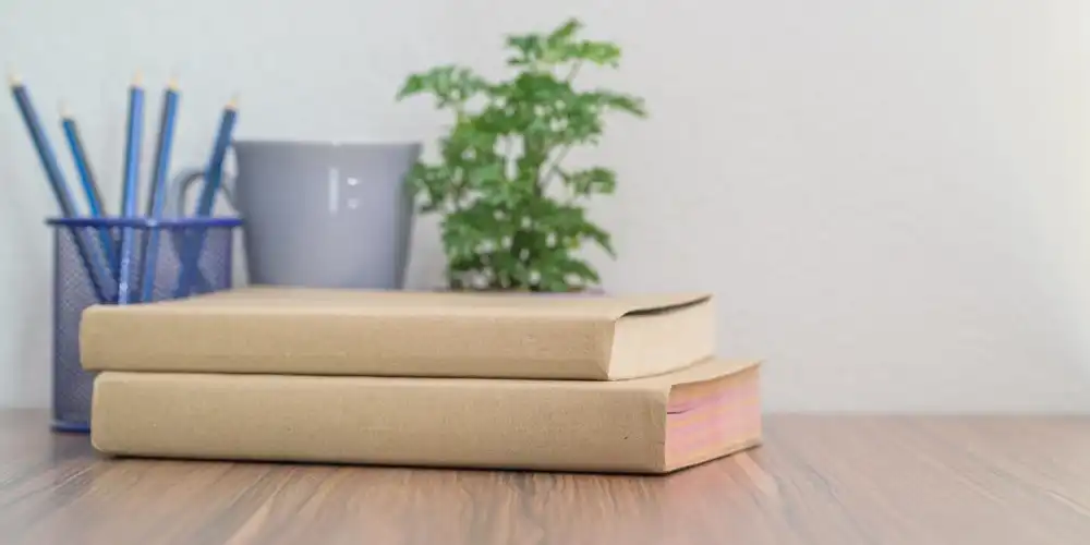 בלוג ומאמרים