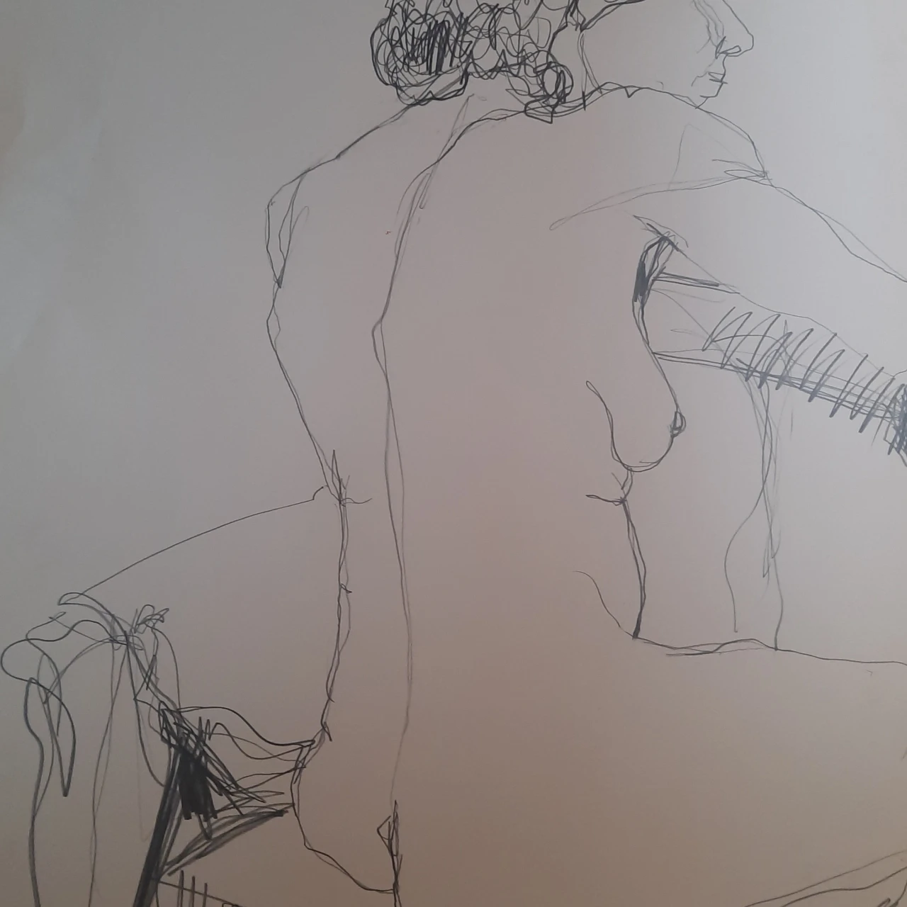 media