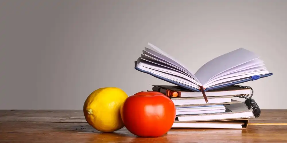 בלוג ומאמרים