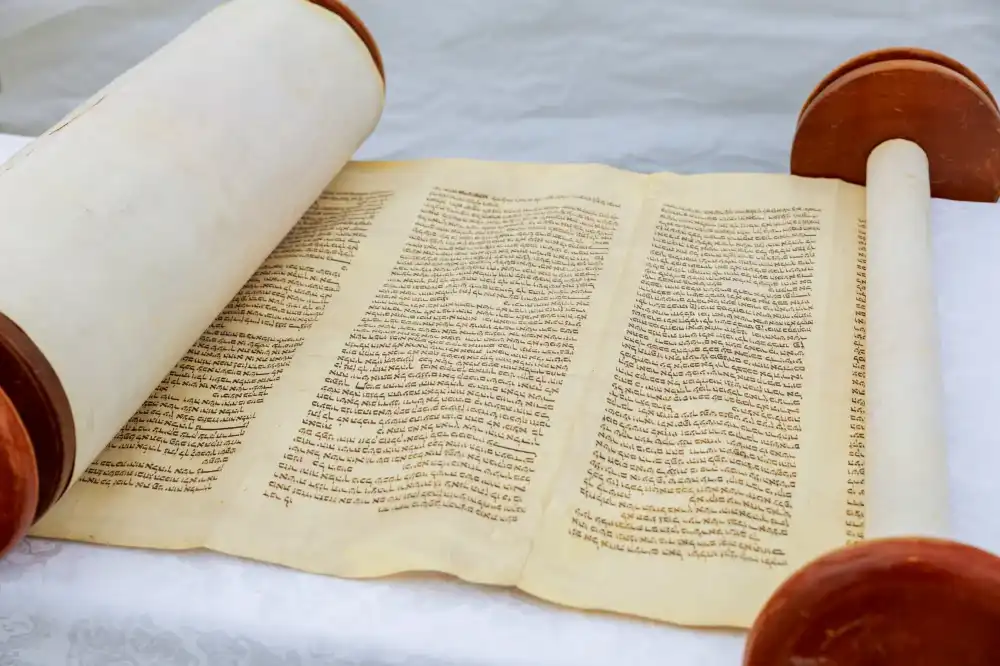 שירותי העסק