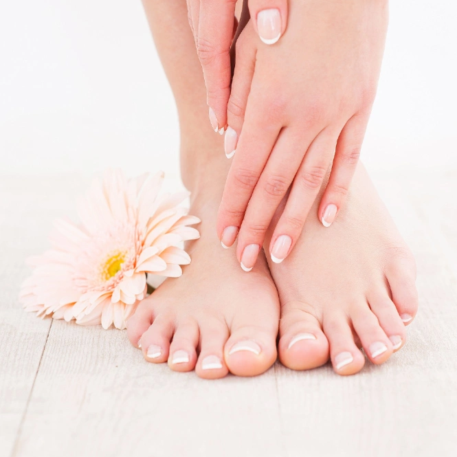 בלוג ומאמרים