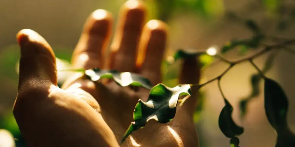 שירותי העסק