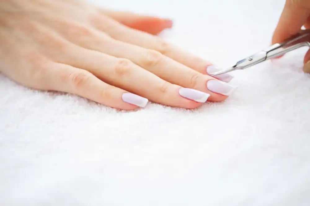 העבודות שלי