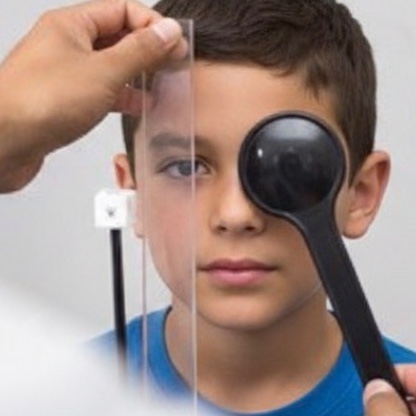 תפקידה של האורטופטיסטית הוא רחב, וכולל בין השאר: