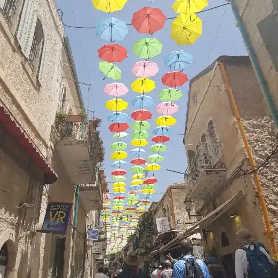 סרטונים