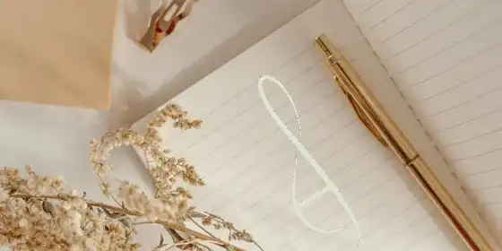 בלוג ומאמרים