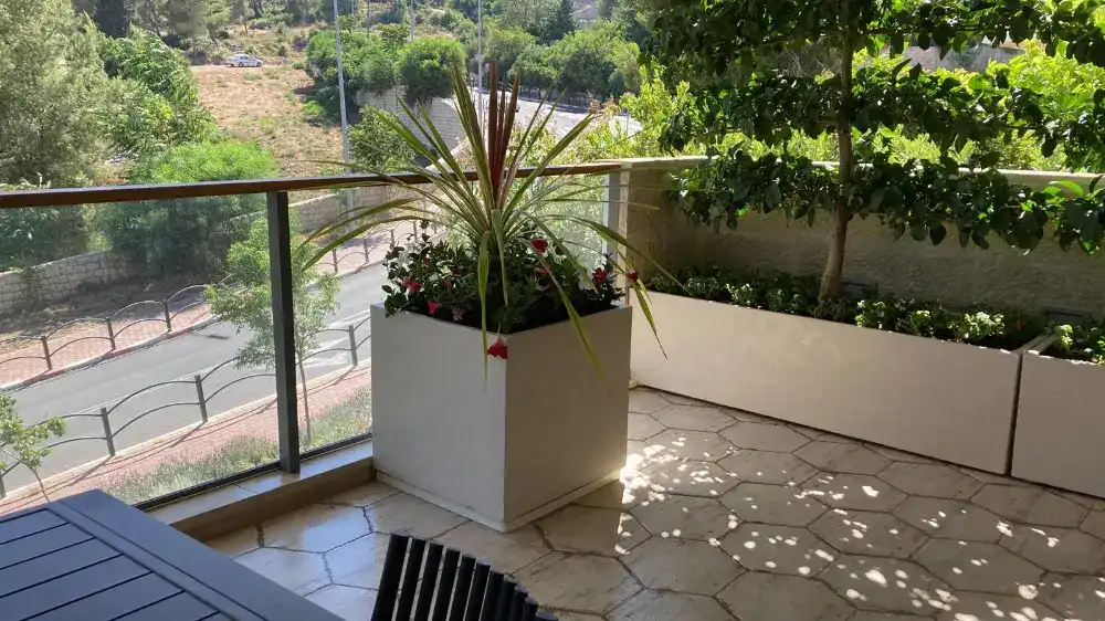 גלריית תמונות