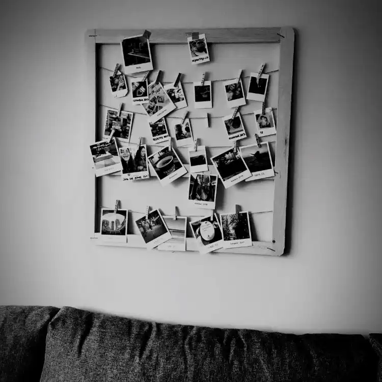 גלריית תמונות