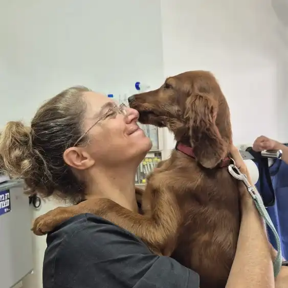 בלוג ומאמרים