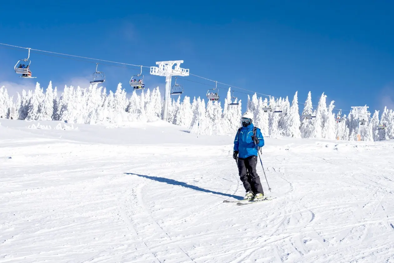 שירותי העסק