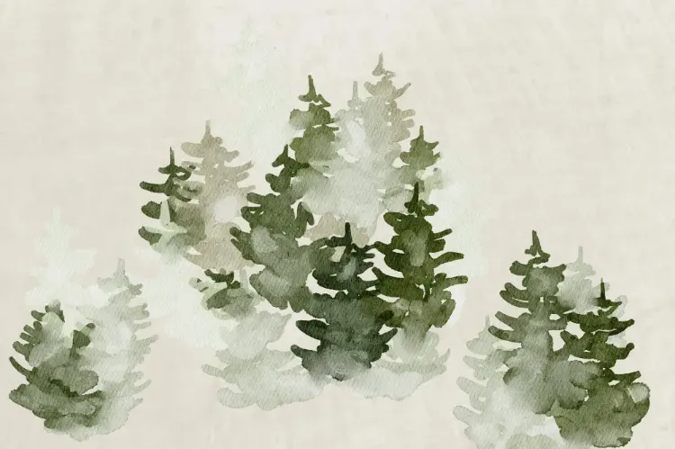 בלוג ומאמרים