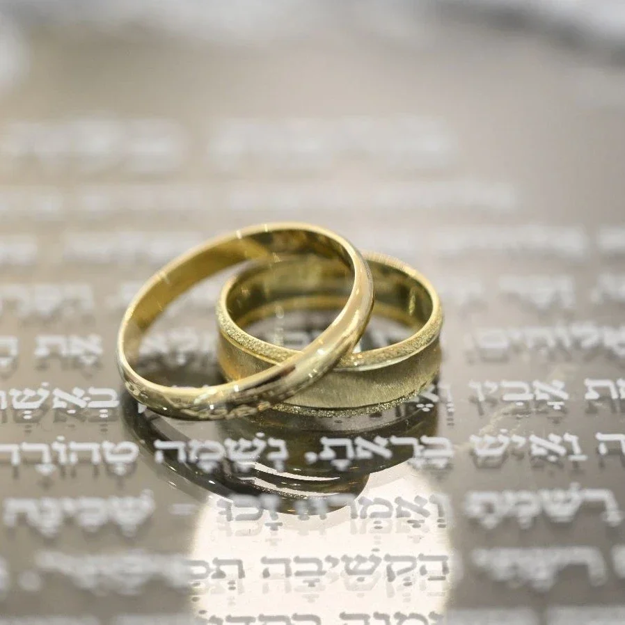 גלריה