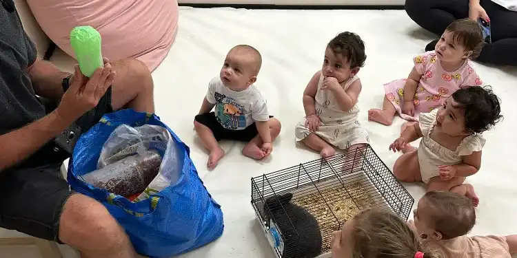 פעילויות סוכות חול המועד