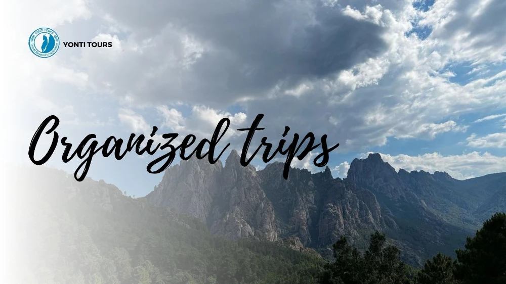 סיורים מאורגנים