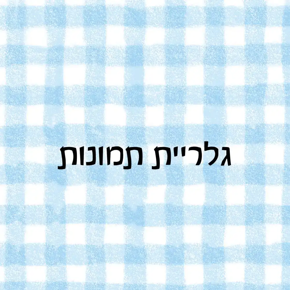 גלריית תמונות