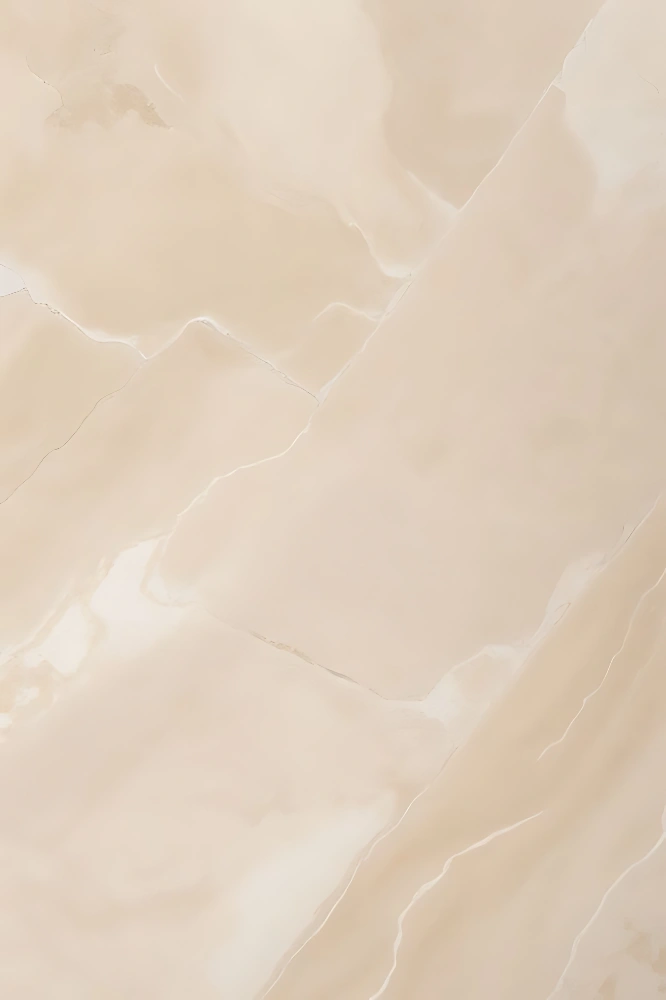 מסלולי עיצוב