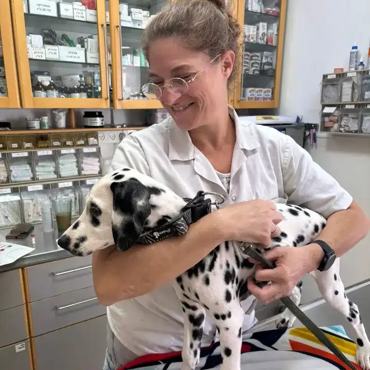 שירותי העסק