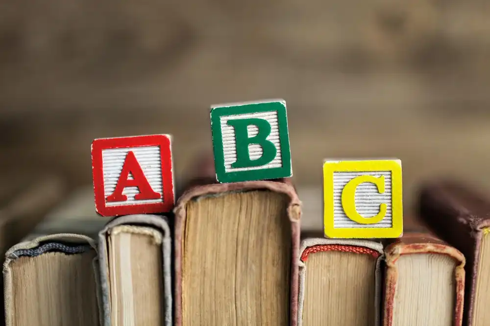 בלוג ומאמרים