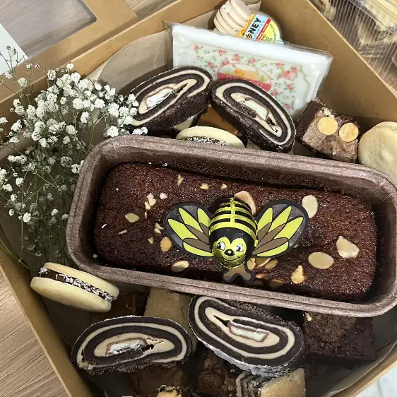 גלרייה