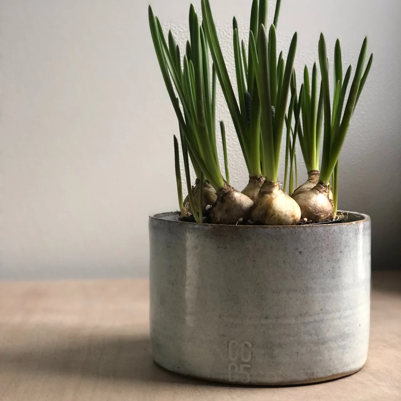 קראפים ואגרטלים