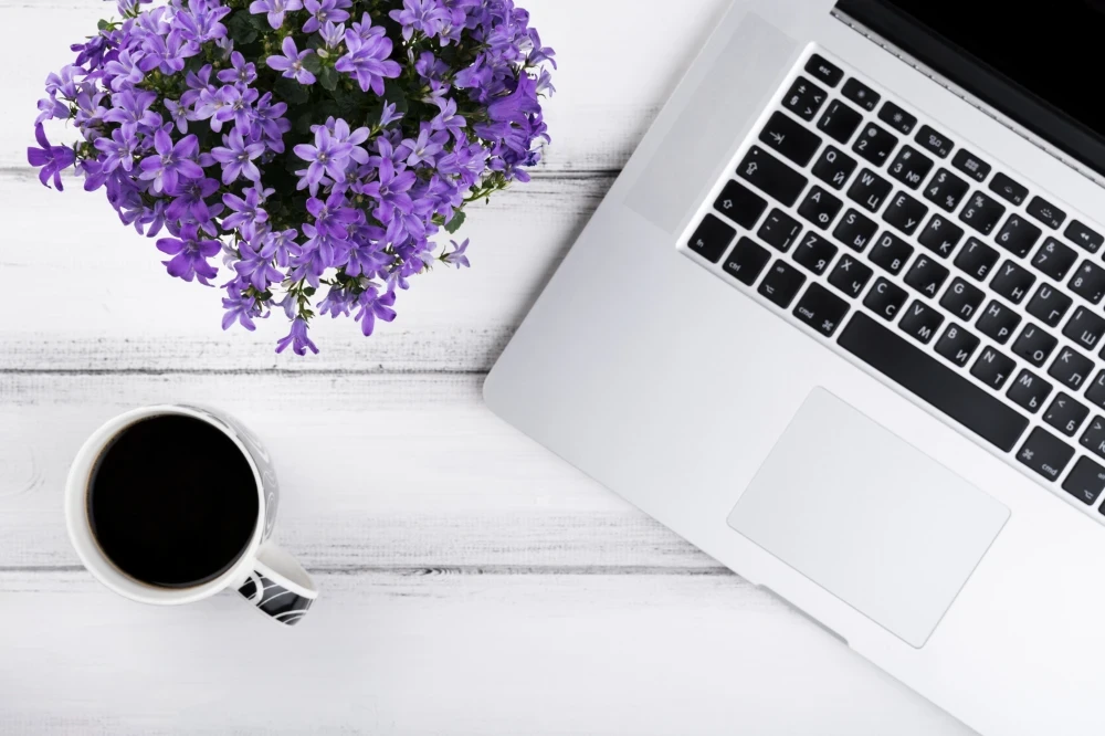 בלוג ומאמרים