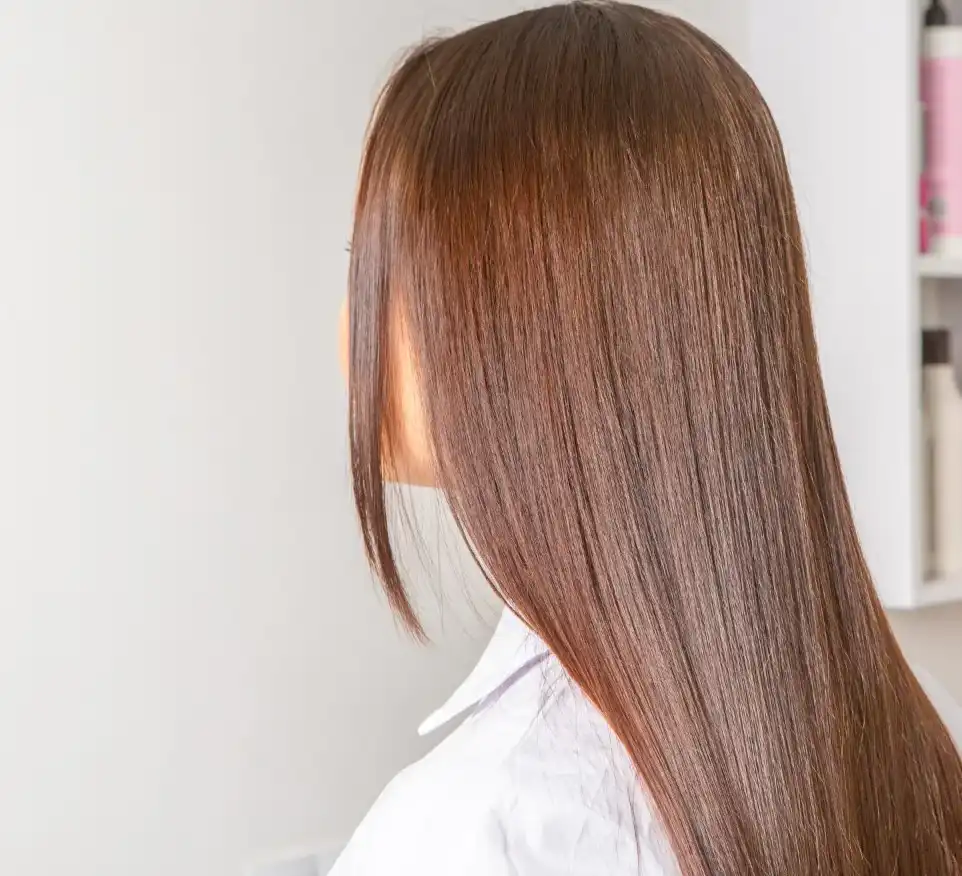 גלריה תמונות