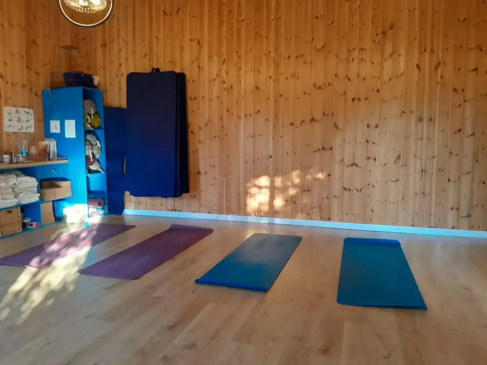 בלוג ומאמרים